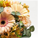 /fileuploads/Produtos/Bouquets e Ramos/thumb__Bouquet_Salmao_03.jpg